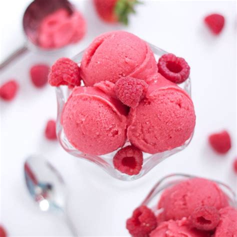 Berry Sherbet {Dairy Free & Vegan} - Recipe Runner