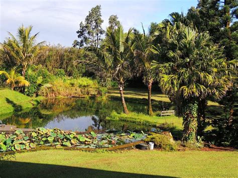 BED & BREAKFAST MOUNTAIN VIEW - B&B Reviews (Hawaii)