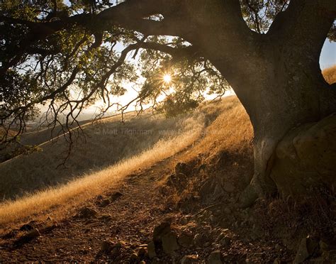 Stay Awhile - Summer East Bay Sunset - Matt Tilghman Photography