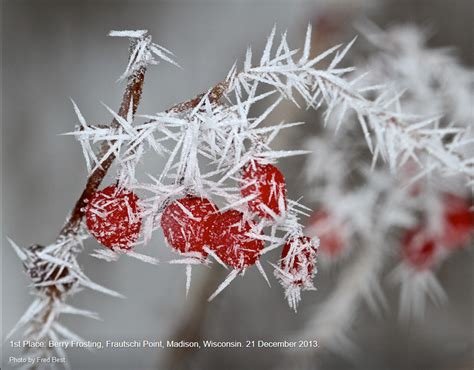 How does frost form? | The Weather Guys