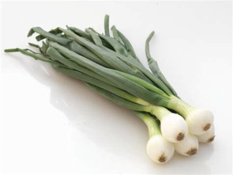 Green Onions – Country Gardens Farm