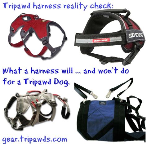 Tripawds Gear » Tripawd Dog Harness Pros, Cons and Facts