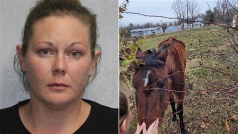 Woman arrested in Butler County on animal cruelty charges, shelter seeking donations for abused ...