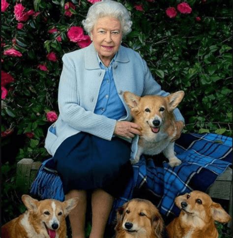 Queen Elizabeth Adds 2 New Corgi Pups To The Royal Family - G2a-ltc