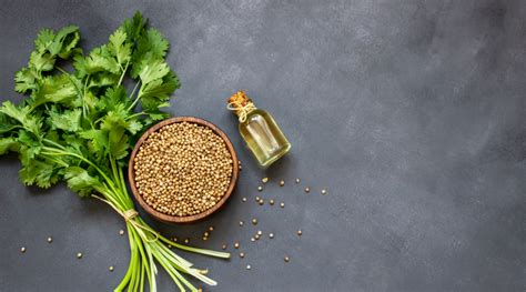 Coriander Benefits and Uses For Optimal Health - HealthKart