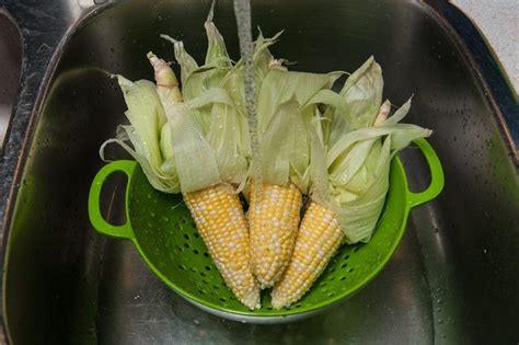 How to Freeze Corn on the Cob Without Blanching | Corn, Frozen corn, Corn on cob