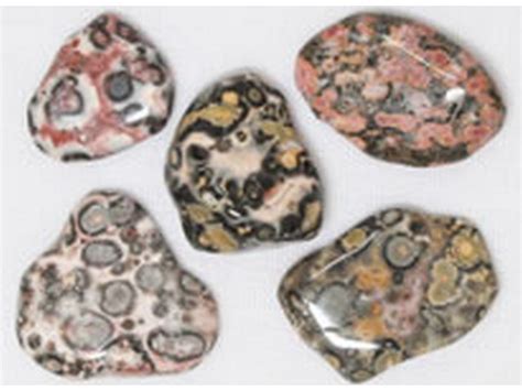 Jasper, Leopard Skin – Rainbow Minerals