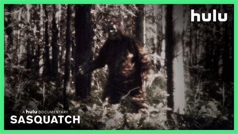 Sasquatch review - how much longer are we going to keep entertaining Bigfoot documentaries?