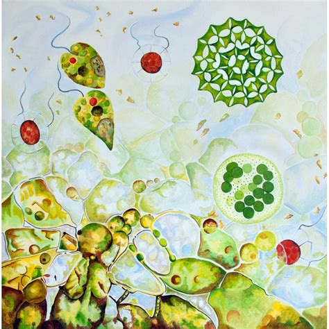 Algae Life Original Contemporary Art Prints - Rosemarie O'Leary Artist