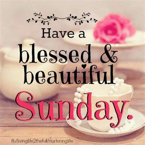 30+ Top For Sunday Blessings Meme - Poppy Bardon | Blessings Pictures