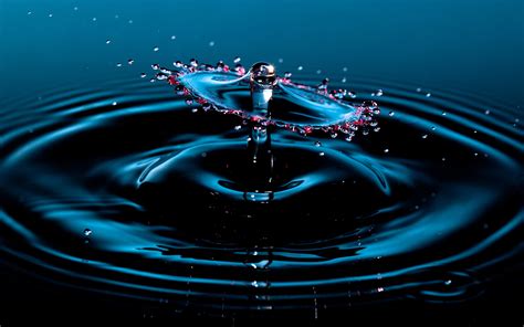 Water drops photography stop motion ripple nature wallpaper | 1920x1200 | 39861 | WallpaperUP