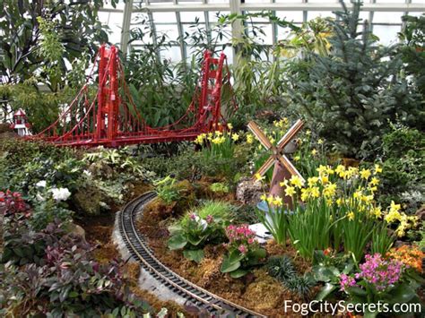 San Francisco Conservatory of Flowers: a Local's Guide