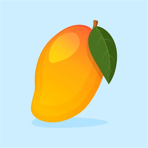 Mango Vector Art, Icons, and Graphics for Free Download