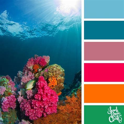 Beautiful coral colors // Explore the beautiful colors of the ocean with these 25 color palettes ...