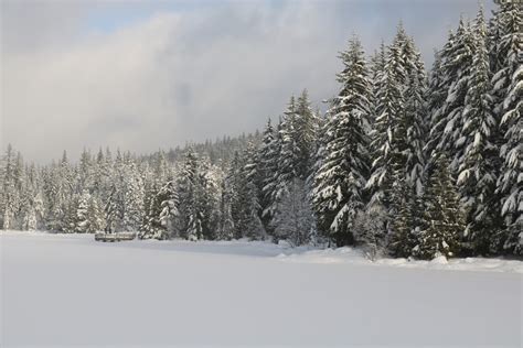 Free Images : tree, forest, mountain, snow, frost, weather, fir, season, frozen lake, spruce ...