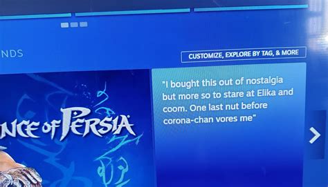 Prince of Persia got its most interesting review yet : r/SteamReviews