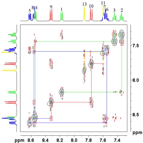 ORGANIC SPECTROSCOPY INTERNATIONAL: 2D NMR PICTURES