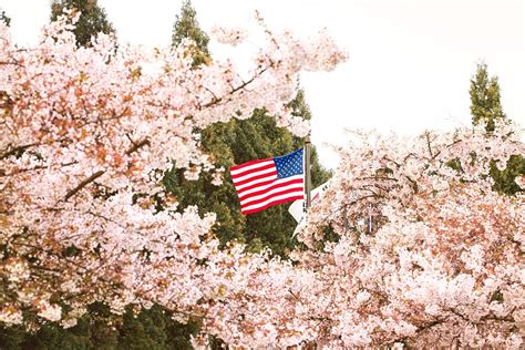 Spring Months in the USA - Weather, Dates & Travel Ideas