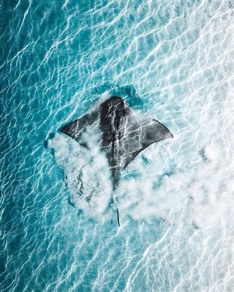 🌊🐳 @phlyimages #SUMMERSUNSELECTION selected by @madebyfelix | Ocean ...