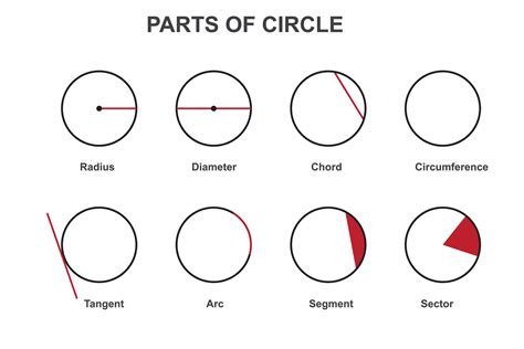 different parts of a circle. Radius, diameter, circumference, chord, arc, tangent, segment and ...