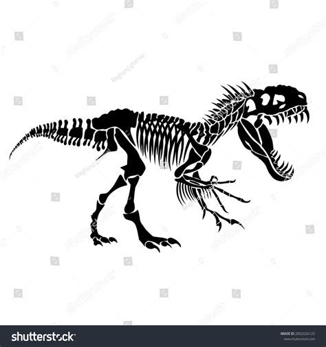 T Rex Dinosaur Skeleton Silhouette Illustration Stock Illustration ...