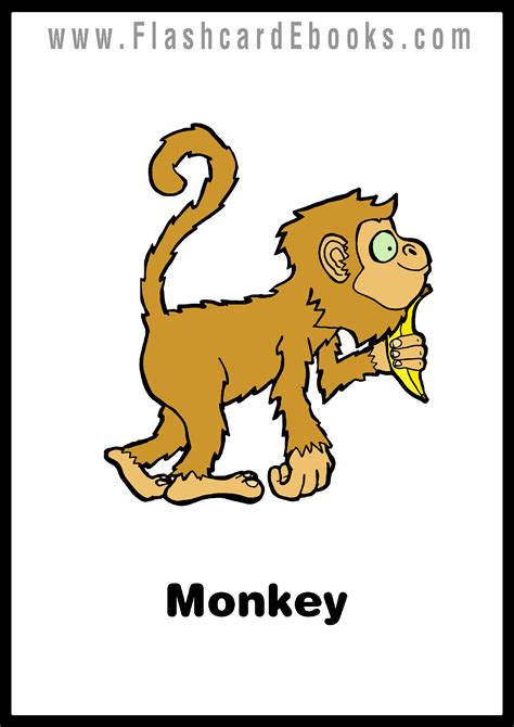 Fine Beautiful Monkey Flashcard Free French Flashcards