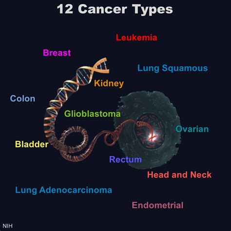 Different Cancers Can Share Genetic Signatures – NIH Director's Blog