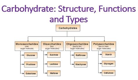 Carbohydrate: Structure, Functions and Types Carbohydrates are most abundant biomolecules in the ...