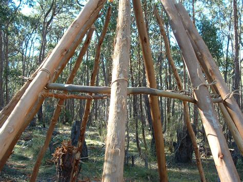 A Woodsrunner's Diary: Working on a Wigwam for a Winter Shelter.