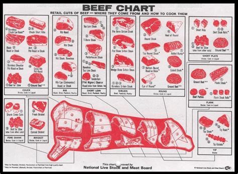 Beef Cow Meat Cut Chart