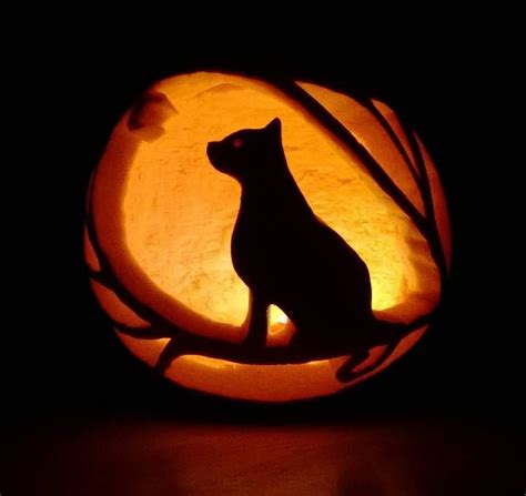 Cat in a tree pumpkin carving. I carved this last night for my work's pumpkin contest (at an ...