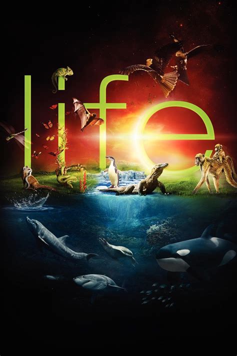 Life (TV Series 2009-2009) - Posters — The Movie Database (TMDB)