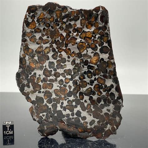 SERICHO Pallasite Meteorite Polished SLICE XXL - 115 g - Catawiki