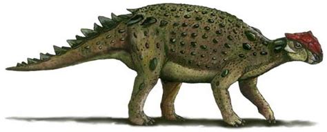 Minmi Pictures & Facts - The Dinosaur Database