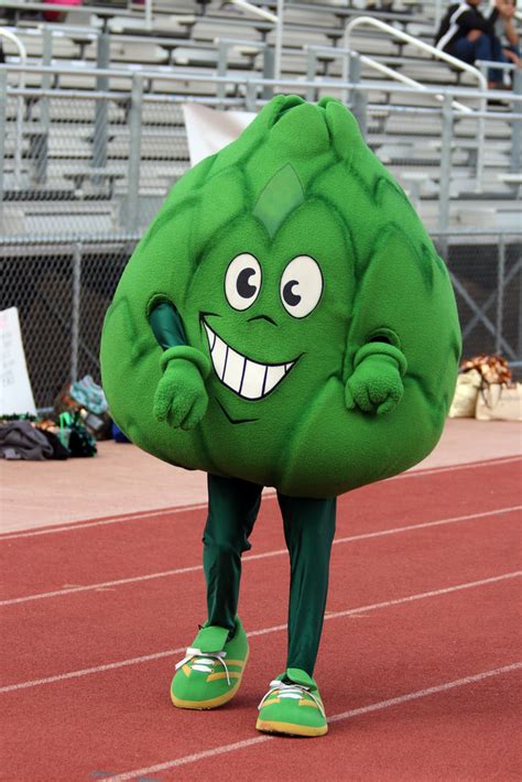 Artie the Artichoke (Scottsdale Community College) | SportsMascots ...