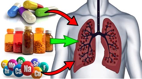 8 Best Vitamins, Supplements And Minerals For Lung Health - Epic ...