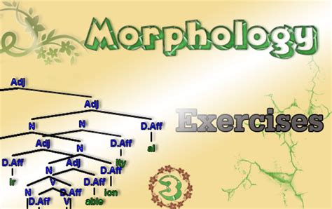 English Morphology Exercises - Part 3 | NitoAnswers