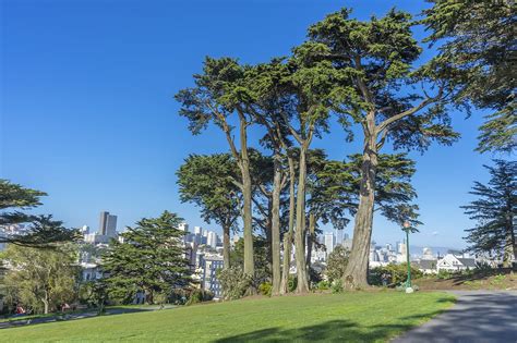 Alamo Square Park in San Francisco - Relax in Front of the Painted ...