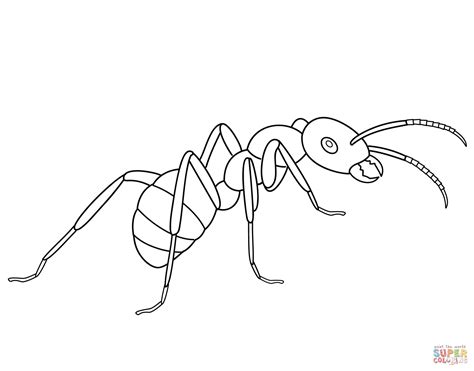 Ant coloring page | Free Printable Coloring Pages