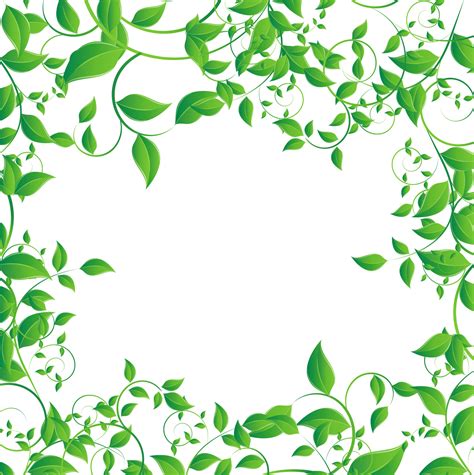 Tea Leaves Vector Green Photos Transparent HQ PNG Download | FreePNGImg