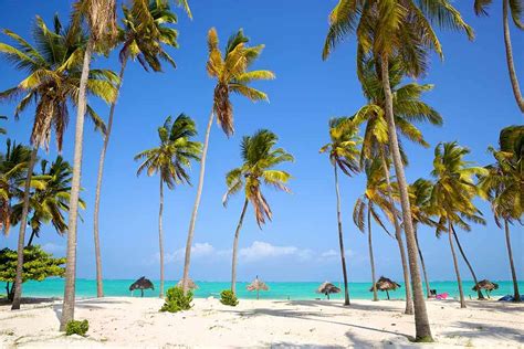 8 Best Beaches in Zanzibar (Including Hotels) | Wayfairer Travel