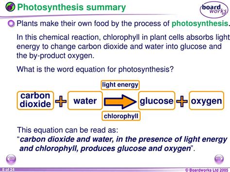 What Is The Word Equation For Photosynthesis Ks3 - Tessshebaylo