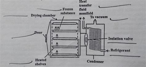 Freeze Dryer - Principle, Construction, How it Works?