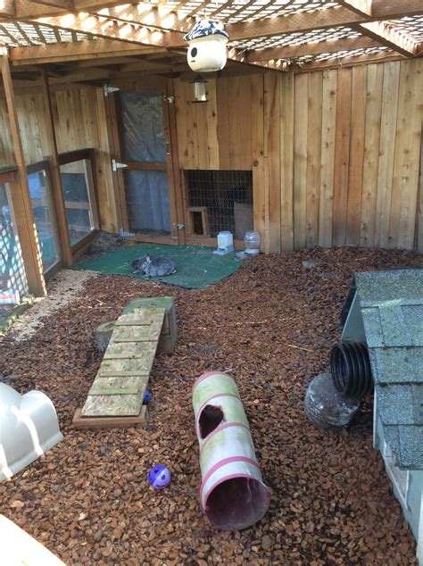 My bunnies outdoor run | Rabbit habitat, Rabbit cages, Rabbit hutches