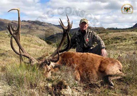 Scotland Ireland Sika Deer Roe Deer Red Stag Hunting | Hunting Consortium