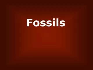PPT - The living fossils: coelacanth PowerPoint Presentation, free download - ID:1040946
