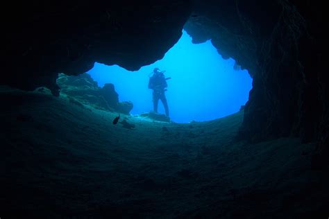 Free photo: Underwater, Diving - Free Image on Pixabay - 706467
