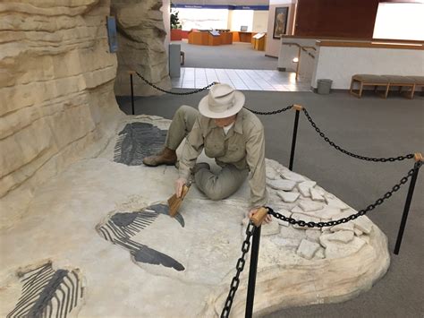 Sternberg Museum: Bringing old bones back to life through National Fossil Day – Tiger Media Network