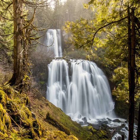 Top Waterfall Trails in the Willamette Valley - Travel Oregon