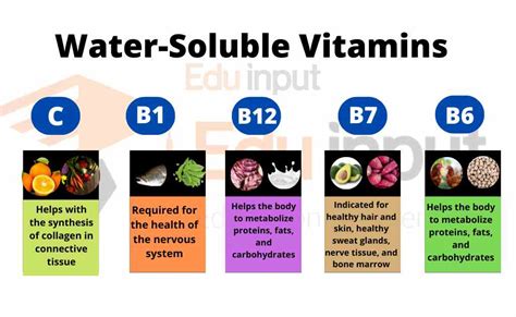 What is Water Soluble Vitamins? Types, Functions, and Examples